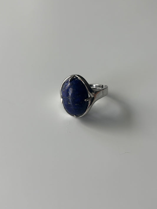 Joni Ring